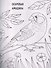 Птички: книжка-раскраска - 1