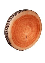 Подушка декоративная Сосна (38х7см) (99-503)