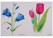 ФГОС Мир в картинках. Цветы - 1