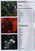 Декоративные деревья и кустарники. Иллюстрированный справочник. 3-е изд. - 1