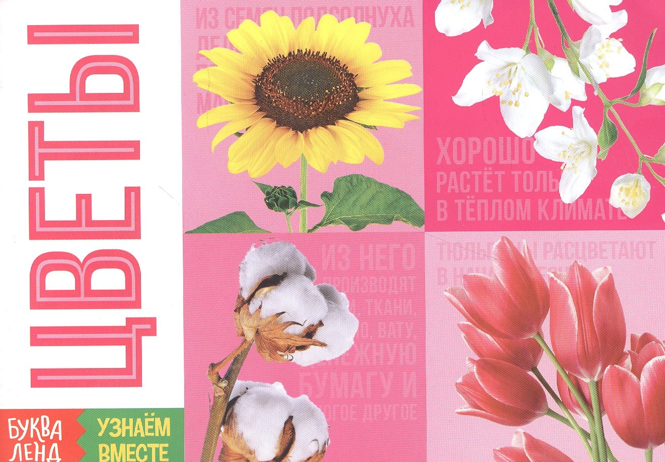 

Обучающая книга «Цветы»