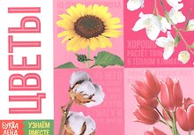 Обучающая книга «Цветы»
