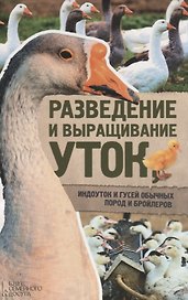 Разведение и выращивание уток, индоуток и гусей обычных пород и бройлеров