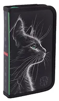 Пенал 1 отделение "Fun cat" 19*11,5 см