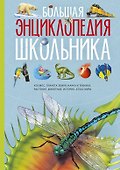 Большая энциклопедия школьника - 0