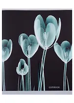 Тетрадь в клетку Listoff, X-ray, 48 листов, в ассортименте