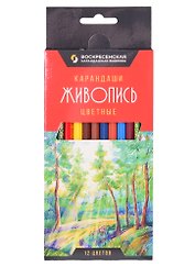Карандаши цветные ВКФ, "Живопись", 12 цветов