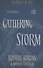 The Wheel of Time. Book 12. The Gathering Storm - 0