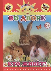 Во дворе кто живет?