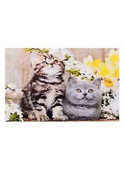 Алмазная мозаика квадратная 17x22 (класс.) с подр., с полн. заполн. (19 цв.) Котята в цветах (Арт. F1-002)