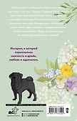 Любовь в Сочи, мопс и белые ночи - 1