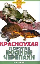 Красноухая и другие водные черепахи