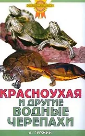 Красноухая и другие водные черепахи