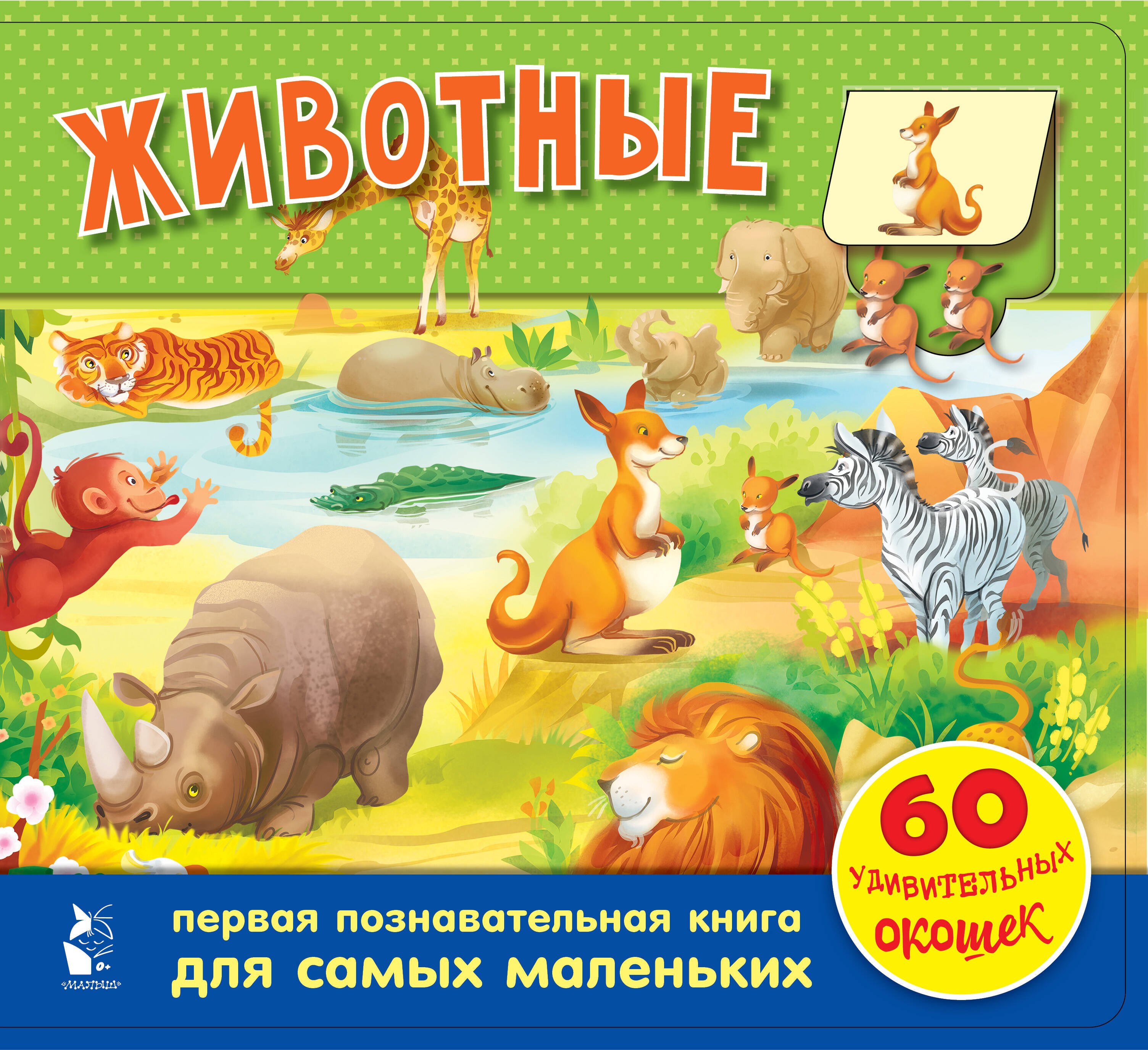 

Животные. 60 удивительных окошек