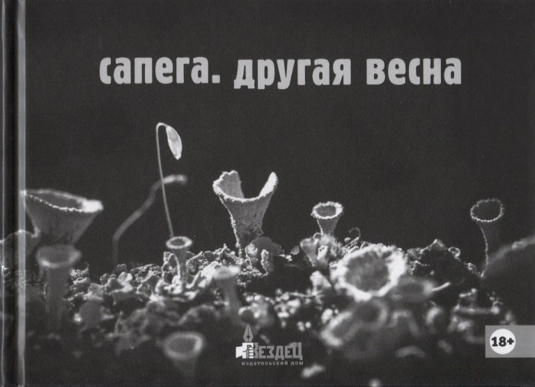 

Другая весна