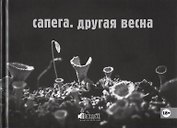 Другая весна