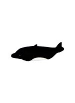 Флэш-драйв 4ГБ Bone Dolphin driver , черный, Retail (DR08061-4BK) 