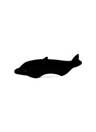 Флэш-драйв 4ГБ Bone Dolphin driver , черный, Retail (DR08061-4BK) 