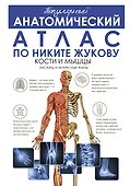 Популярный анатомический атлас по Никите Жукову. Кости и мышцы. Инсайты и интересные факты - 0