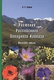 Растения Российского Западного Кавказа: Полевой атлас
