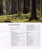 Ярославский край: растения и животные, реки и озера - 1