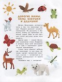 Энциклопедия для малышей в сказках: все, что ваш ребенок должен узнать до школы - 1