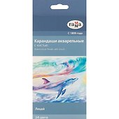Карандаши акварельные «Лицей», 24 цвета, ГАММА - 0