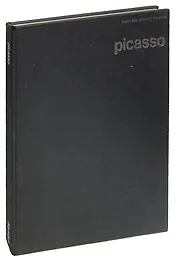 Picasso (Twentieth century masters)