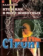 Кто и как в мире животных строит