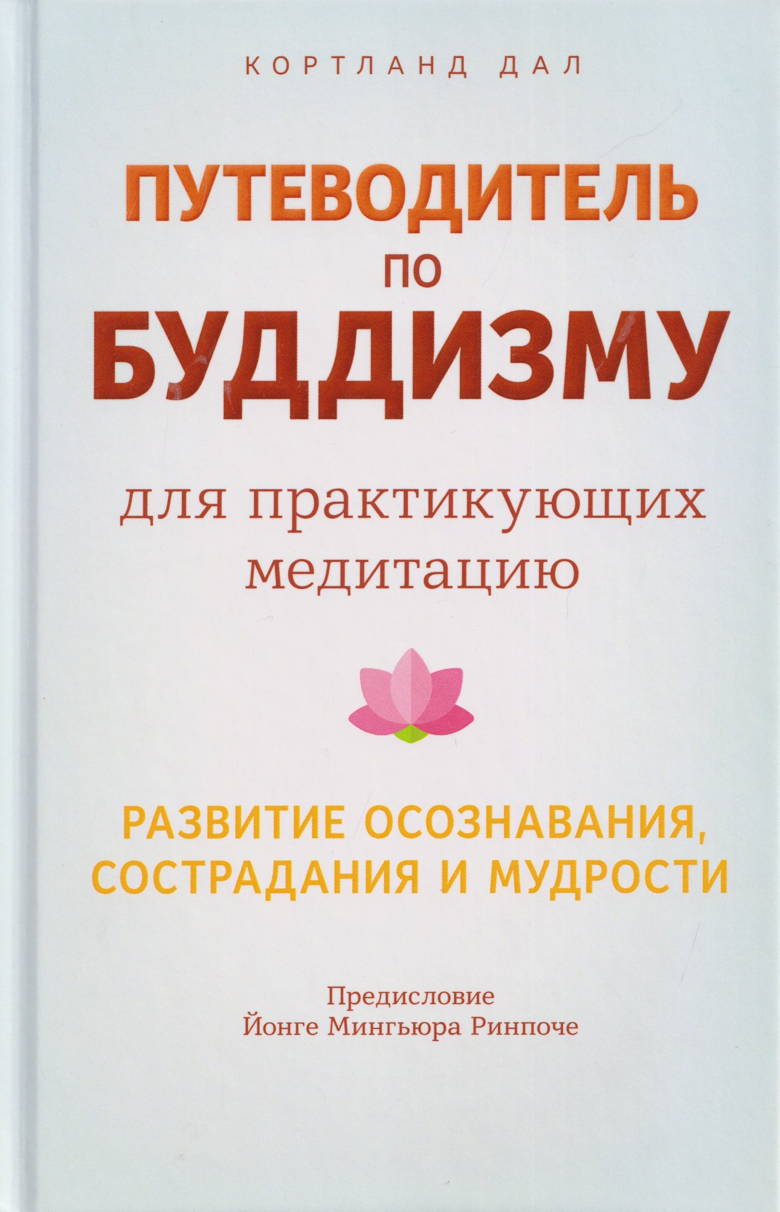 

Путеводитель по буддизму для практикующих медитацию. Развитие осознавания, сострадания и мудрости
