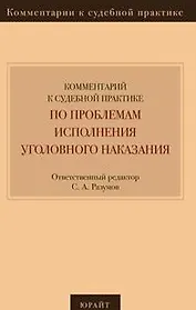 Комментарий к судебной практике по проблемам исполнения уголовного наказания