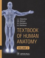 Textbook of Human Anatomy. In 3 volume. Volume 2. Splanchnology and cardiovascular system/Анатомия человека. Учебник на английском языке в трех томах. Том 2