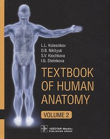 Textbook of Human Anatomy. In 3 volume. Volume 2. Splanchnology and cardiovascular system/Анатомия человека. Учебник на английском языке в трех томах. Том 2