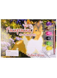 Картина-раскраска по номерам «Собака Колли», 7 цветов, Рыжий Кот