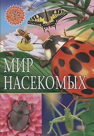 Мир насекомых