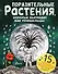 Поразительные растения, которые выглядят как пришельцы - 0