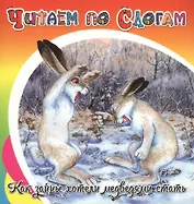 Как зайцы хотели медведями стать