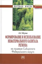 Формирование и использование нематериального капитала региона (на примере Сибирского федеративного округа): Монография