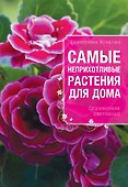 Самые неприхотливые растения для вашего дома - 0