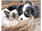 Холст с красками по номерам 40х50см (23цв.) ТМ Рыжий кот Котенок и щенок в корзине Х-9171