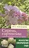 Сирень, гортензии и другие красивоцветущие кустарники - 0