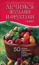 Лечимся ягодами и фруктами: 50 лучших целителей в лесу и на дачном участке