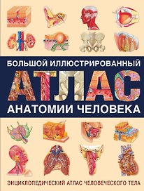 Энциклопедический атлас человеческого тела (ISBN 5-17-038347-9 в суперобложке "Большой иллюстрированный атлас анатомии человека")