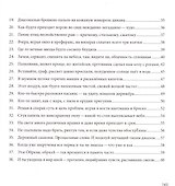 Стихопульсы - 2