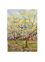 Тетрадь в клетку Art-Blanc, Van