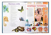 Большая энциклопедия школьника - 1