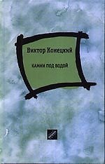 Камни под водой: рассказы