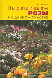 Выращиваем розы на дачном участке.