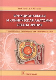 Функциональная и клиническая анатомия органа зрения.