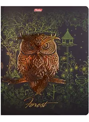 Тетрадь в клетку Hatber, "Золотые совушки", 48 листов, в ассортименте